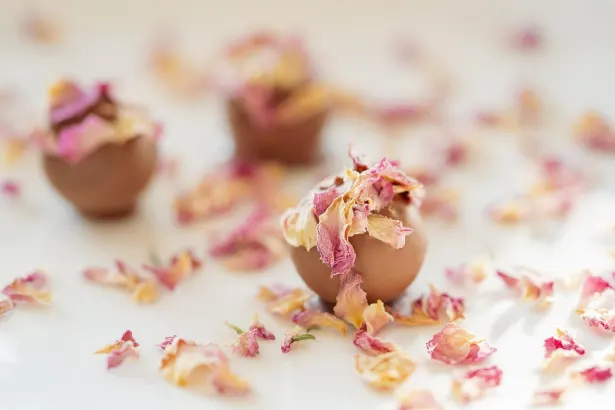 Moon Casino Android/iOS Forrit